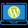 Website Development