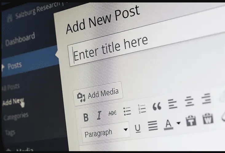 Ask Your WordPress Web Development Company to Consider These While Choosing the Perfect WordPress Theme for Your B2C Business