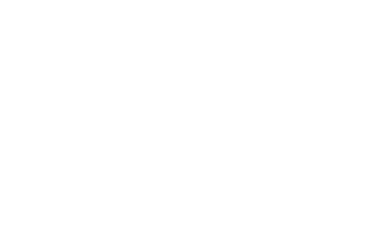 Websadroit Logo
